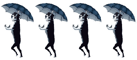 Anim