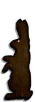 Anim