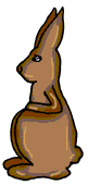 Anim