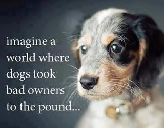 IMAGINE A WORLD WHERE DOGS BROUGHT BAD OWNERS TO THE POUND