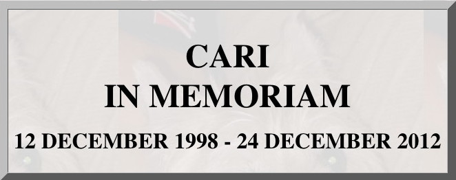 Cari