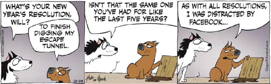 DOGS