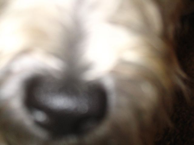Ph