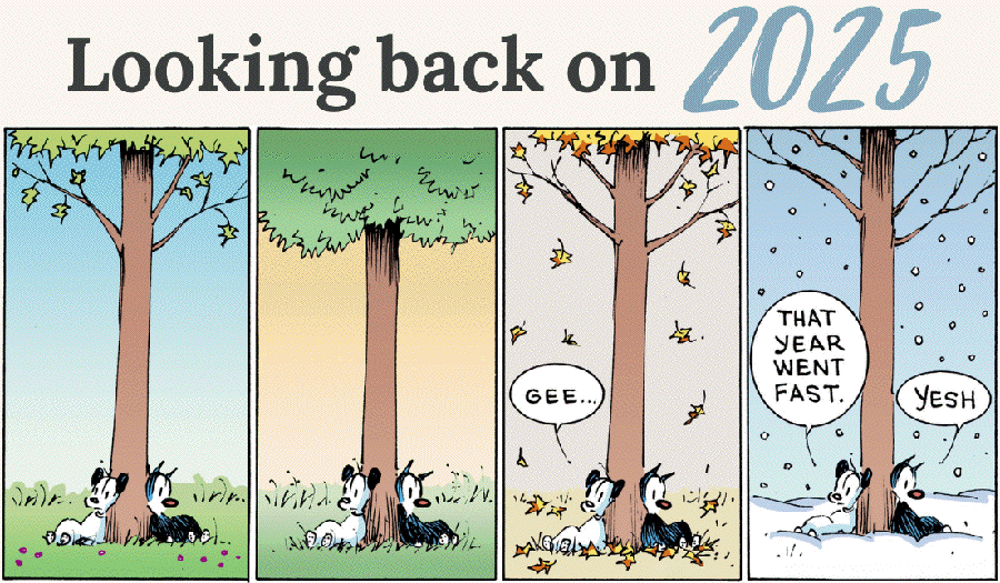 MUTTS