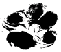 Gr