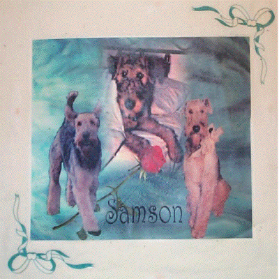 Samson