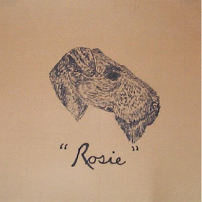 Rosie